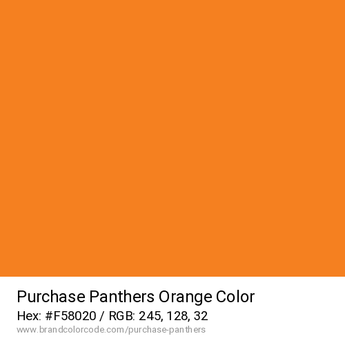 Purchase Panthers's Orange color solid image preview