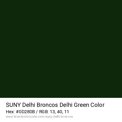 SUNY Delhi Broncos's Delhi Green color solid image preview
