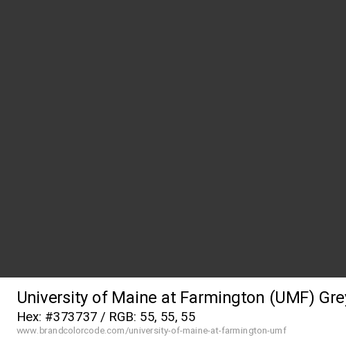 University of Maine at Farmington (UMF)'s Grey color solid image preview