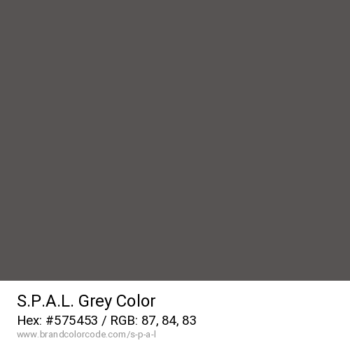 S.P.A.L.'s Grey color solid image preview