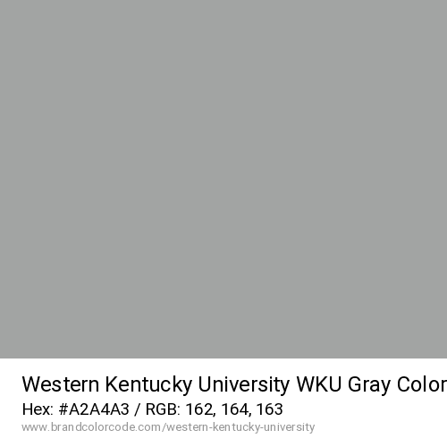 Western Kentucky University's WKU Gray color solid image preview