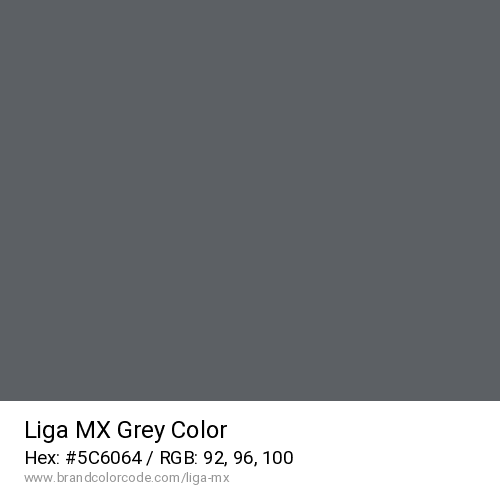 Liga MX's Grey color solid image preview
