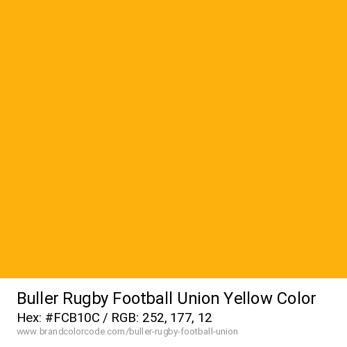 Buller Rugby Football Union's Yellow color solid image preview