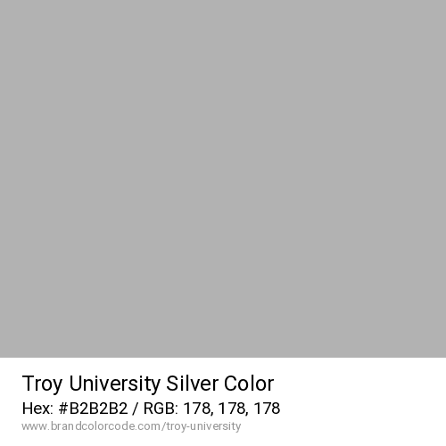 Troy University's Silver color solid image preview