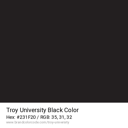 Troy University's Black color solid image preview