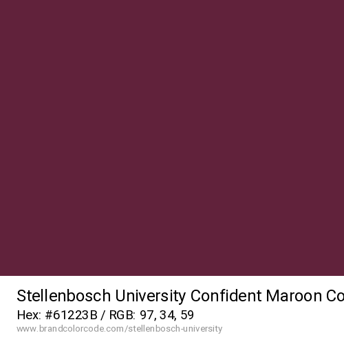 Stellenbosch University's Confident Maroon color solid image preview