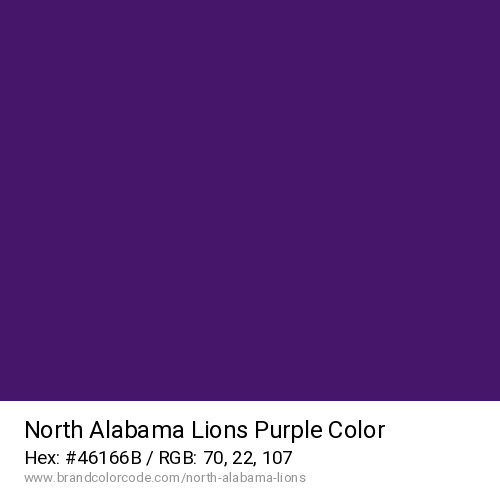 North Alabama Lions's Purple color solid image preview