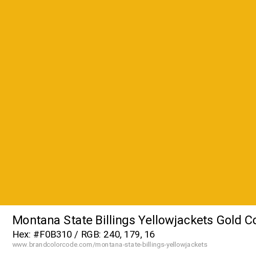 Montana State Billings Yellowjackets's Gold color solid image preview