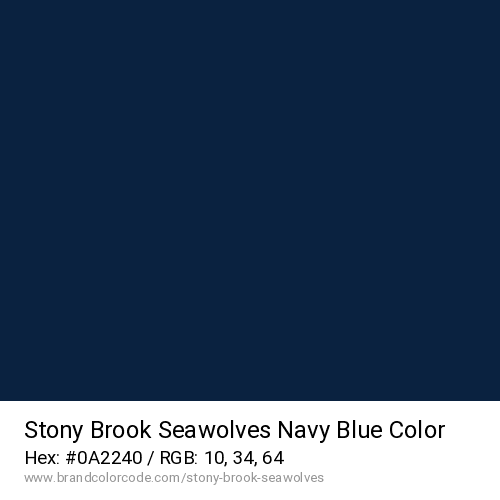 Stony Brook Seawolves's Navy Blue color solid image preview