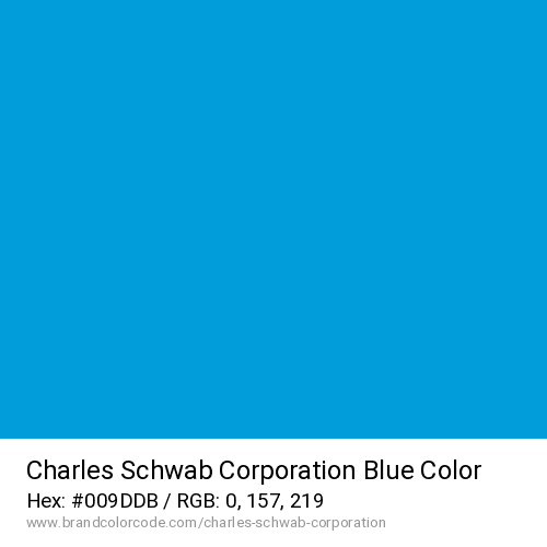 Charles Schwab Corporation's Blue color solid image preview