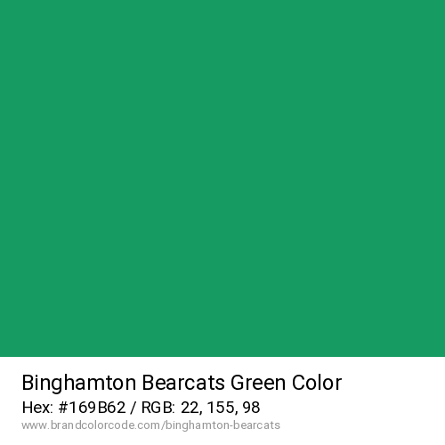 Binghamton Bearcats's Green color solid image preview