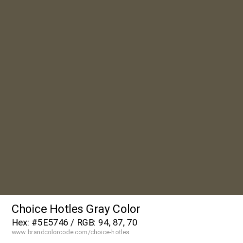 Choice Hotles's Gray color solid image preview