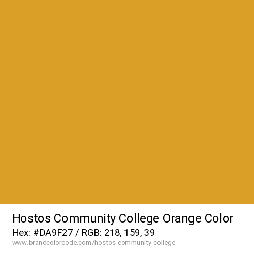 Hostos Community College's Orange color solid image preview