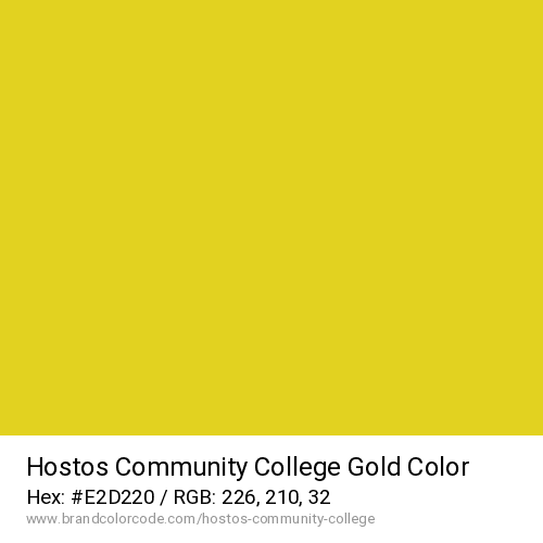 Hostos Community College's Gold color solid image preview