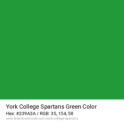 York College Spartans's Green color solid image preview