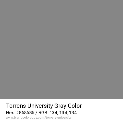 Torrens University's Gray color solid image preview