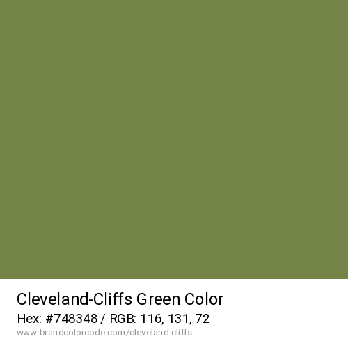 Cleveland-Cliffs's Green color solid image preview