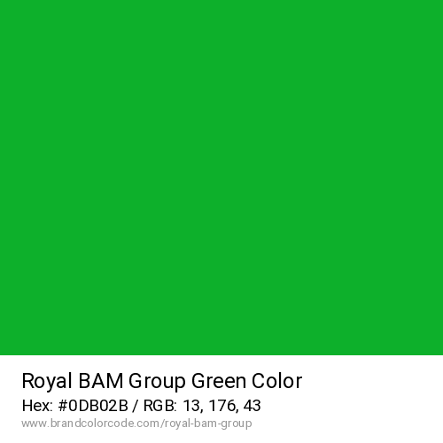 Royal BAM Group's Green color solid image preview