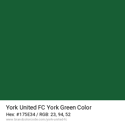York United FC's York Green color solid image preview