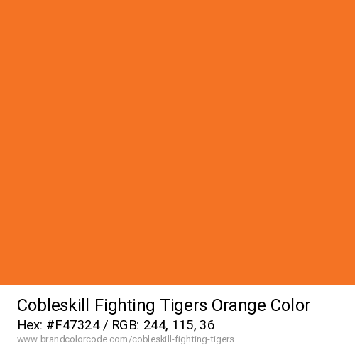 Cobleskill Fighting Tigers's Orange color solid image preview