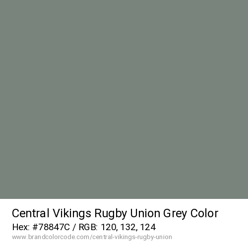Central Vikings Rugby Union's Grey color solid image preview