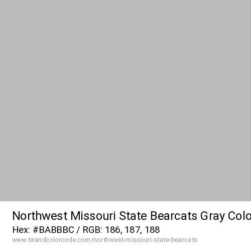 Northwest Missouri State Bearcats's Gray color solid image preview