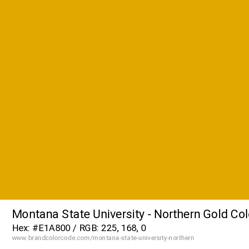 Montana State University – Northern's Gold color solid image preview