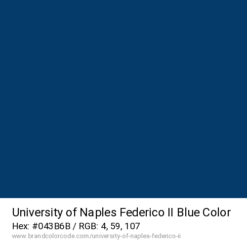 University of Naples Federico II's Blue color solid image preview