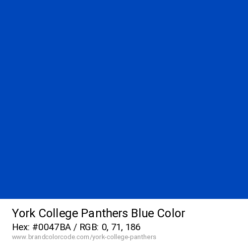 York College Panthers's Blue color solid image preview