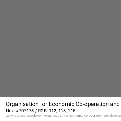 Organisation for Economic Co-operation and Development (OECD)'s Gray color solid image preview