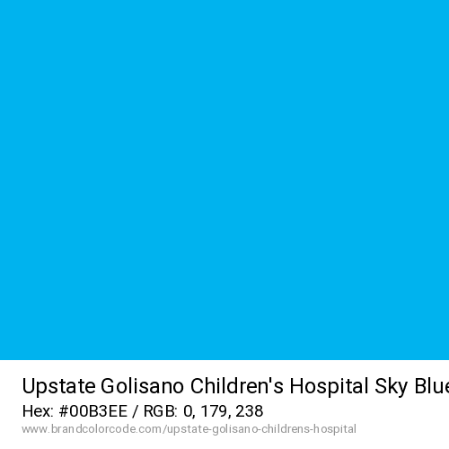 Upstate Golisano Children’s Hospital's Sky Blue color solid image preview