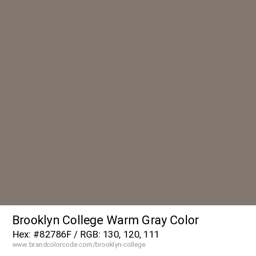 Brooklyn College's Warm Gray color solid image preview