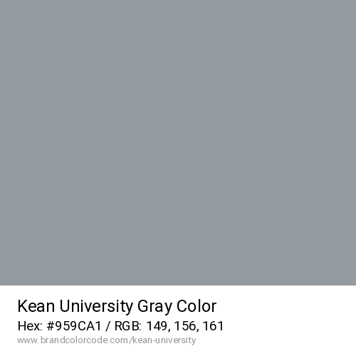 Kean University's Gray color solid image preview