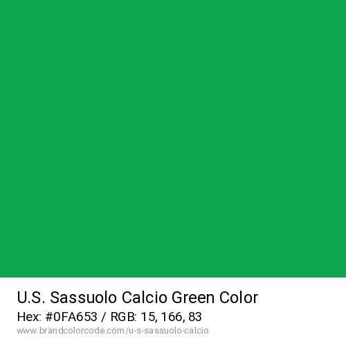 U.S. Sassuolo Calcio's Green color solid image preview