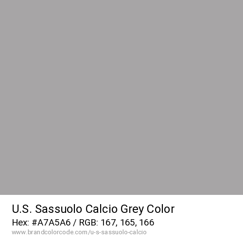 U.S. Sassuolo Calcio's Grey color solid image preview