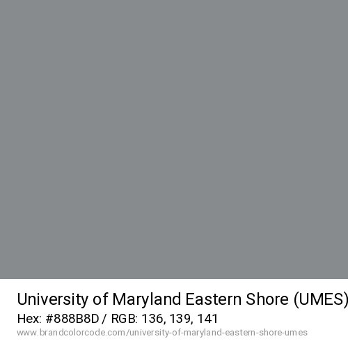 University of Maryland Eastern Shore (UMES)'s Grey color solid image preview
