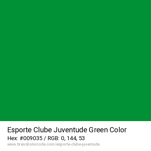 Esporte Clube Juventude's Green color solid image preview