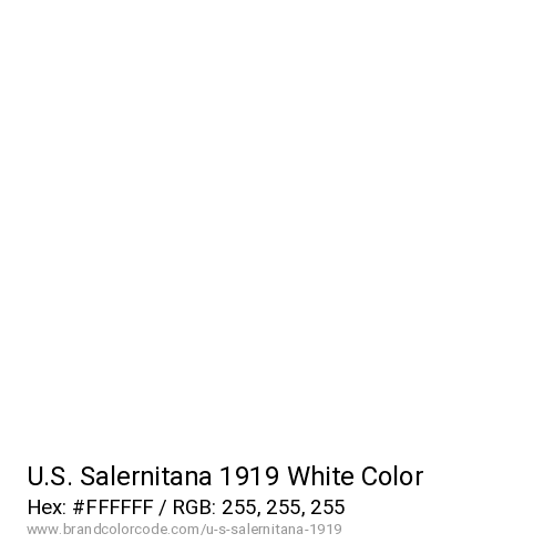 U.S. Salernitana 1919's White color solid image preview