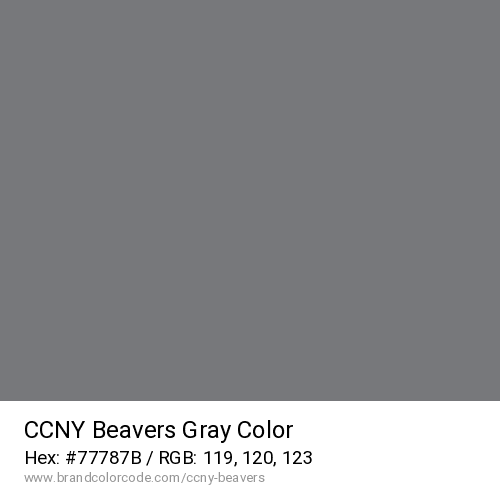 CCNY Beavers's Gray color solid image preview