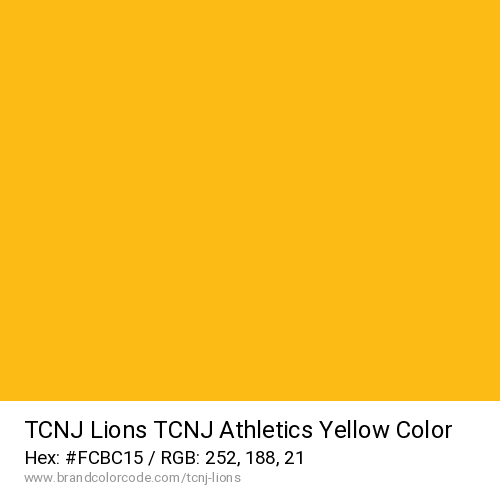TCNJ Lions's TCNJ Athletics Yellow color solid image preview