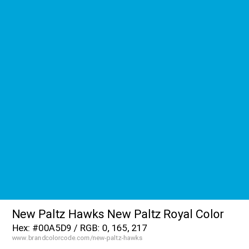 New Paltz Hawks's New Paltz Royal color solid image preview