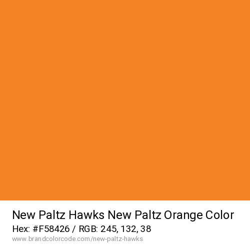 New Paltz Hawks's New Paltz Orange color solid image preview