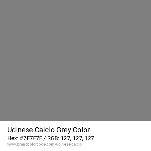 Udinese Calcio's Grey color solid image preview
