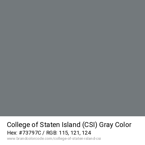 College of Staten Island (CSI)'s Gray color solid image preview