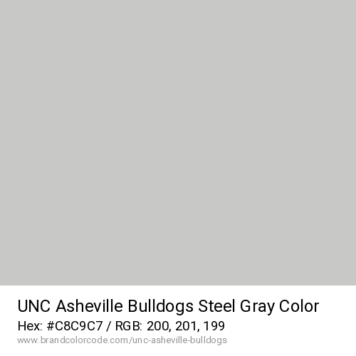 UNC Asheville Bulldogs's Steel Gray color solid image preview