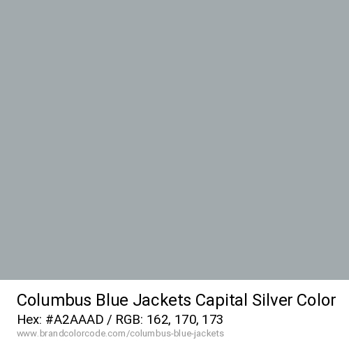 Columbus Blue Jackets's Capital Silver color solid image preview