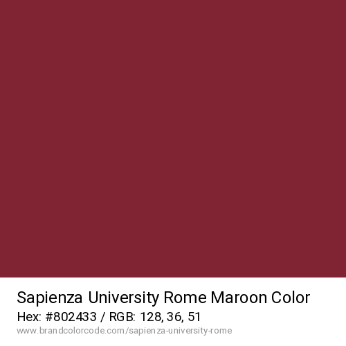 Sapienza University Rome's Maroon color solid image preview