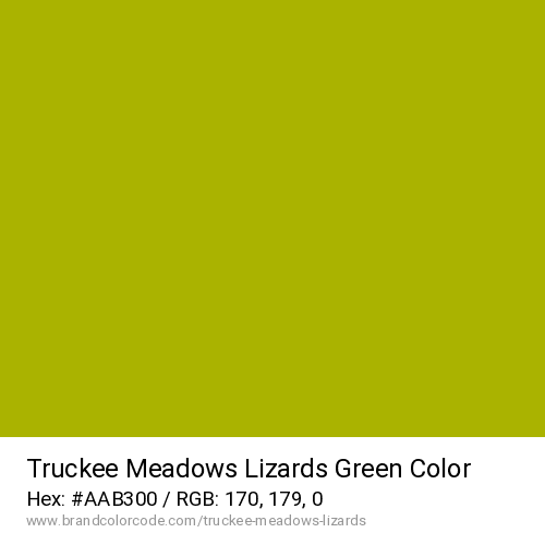 Truckee Meadows Lizards's Green color solid image preview
