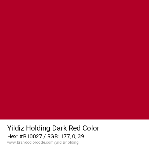 Yildiz Holding's Dark Red color solid image preview