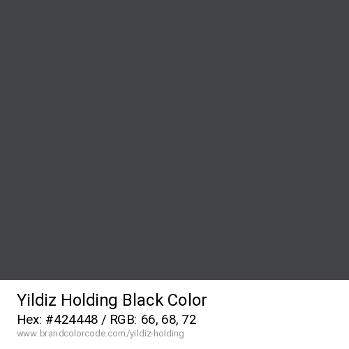 Yildiz Holding's Black color solid image preview
